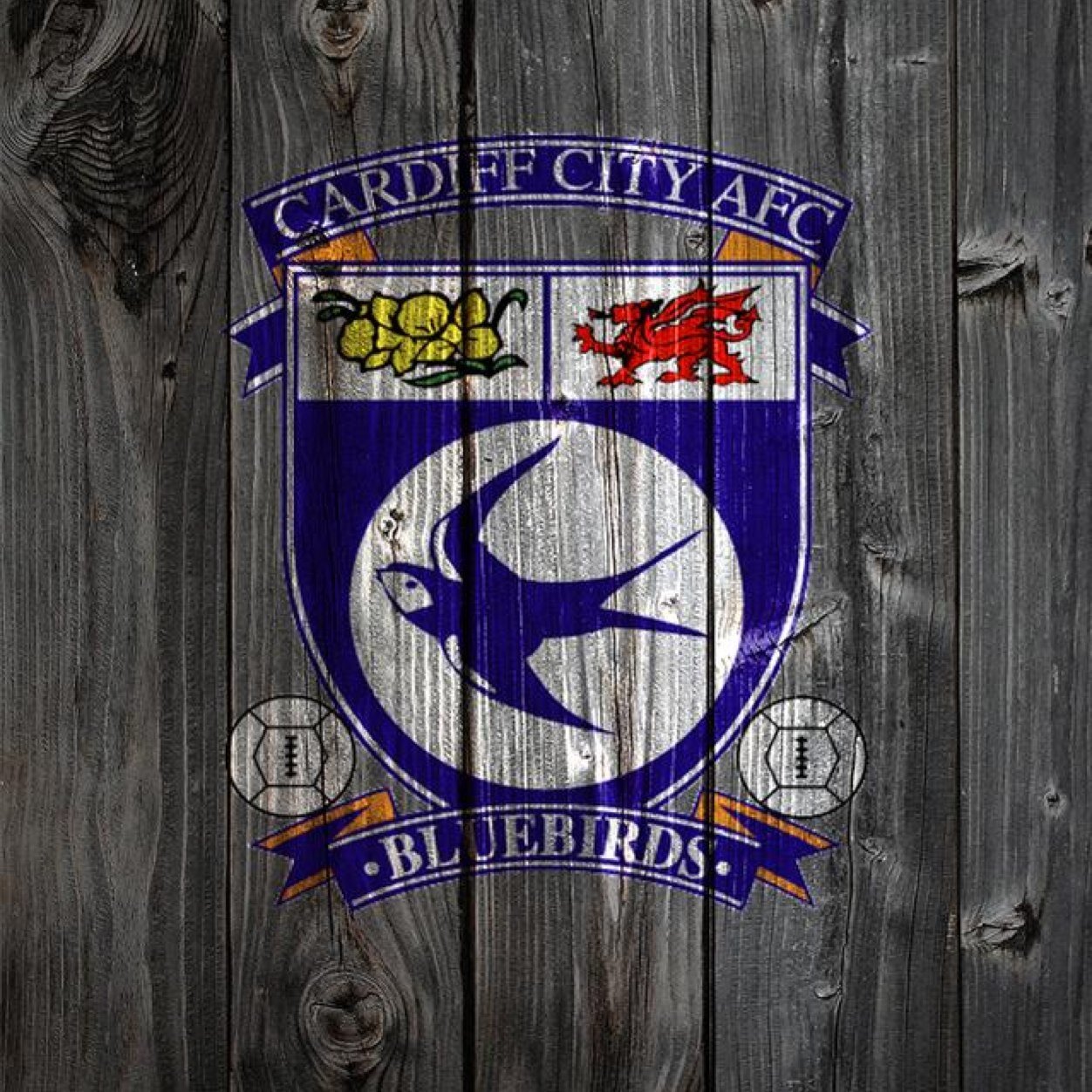 MelAndriola's profile picture. 