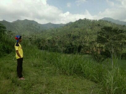 arema