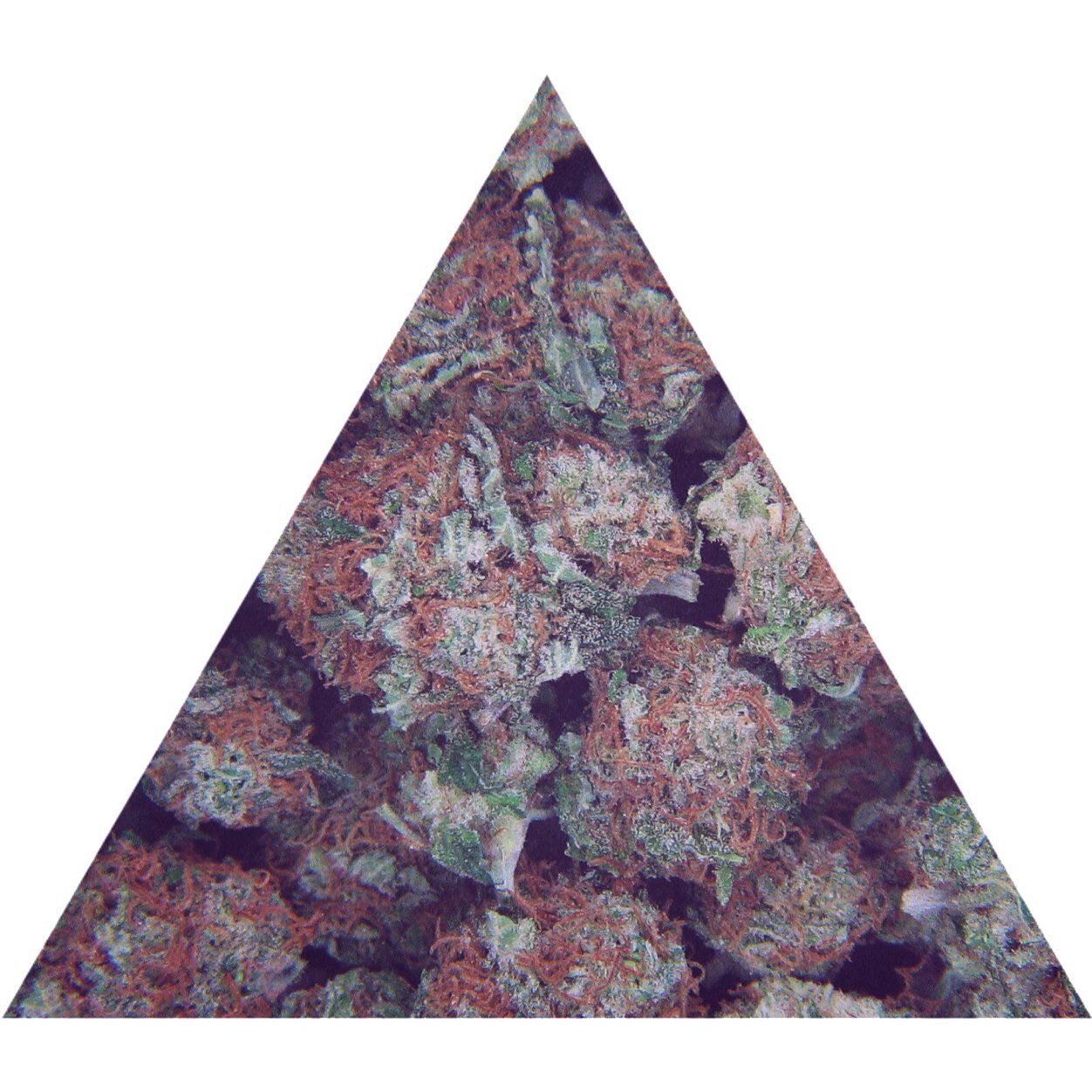 ▲▲▲ kvsh #kush #kushking #kushapocalypse #michaeljordan #airwalk #breakingbad #dellinspiron #rice #daddyissues ▲▲▲