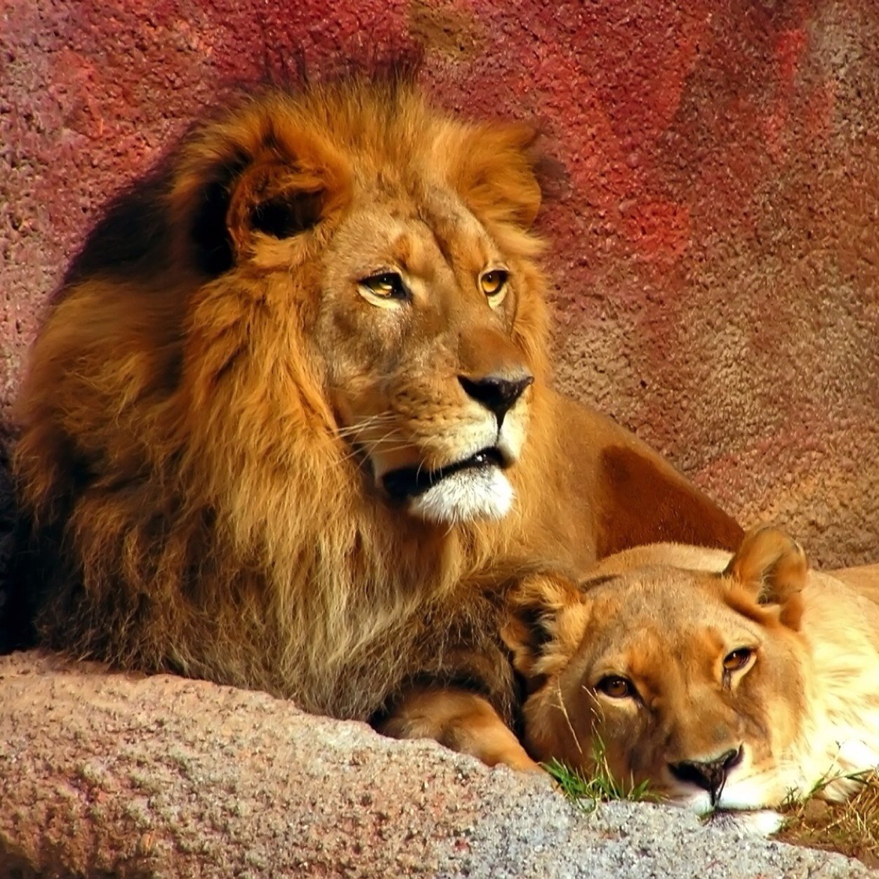 Interested in sharing beautiful nature pics, whether it's animals or amazing earth photos.
