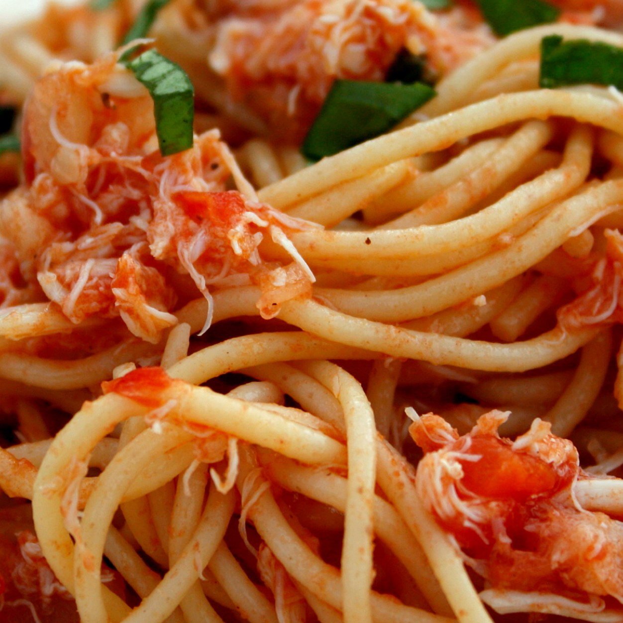 BCPastaMatt's profile picture. The broest bro that ever broed. #om *parody #welovematt*