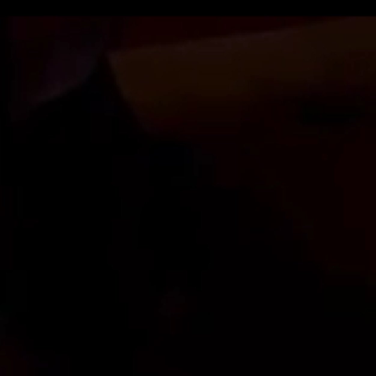 Furry_Elnora's profile picture. 