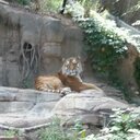 Ron Fanning - @rfanning55 - Twitter