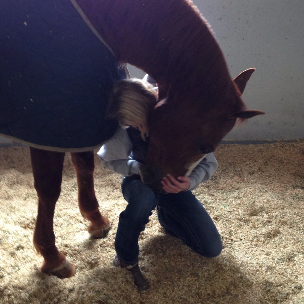 I love horses and any animal. I have horses of my own.