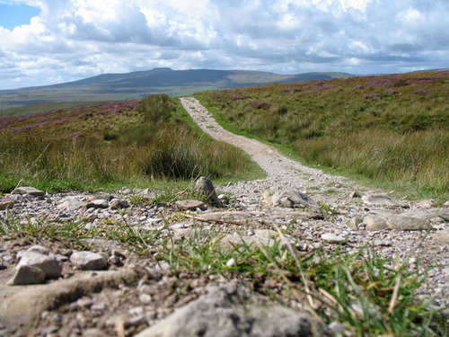 OregonTrail2010's profile picture. A few 20-somethings, a prairie schooner, and 2,000 miles