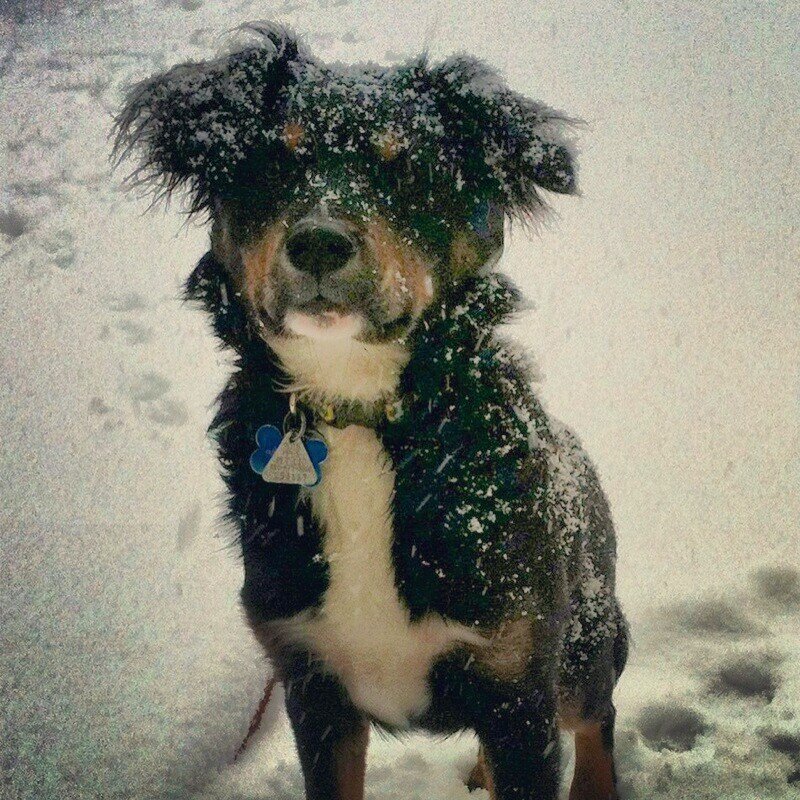 Colin0002's profile picture. 