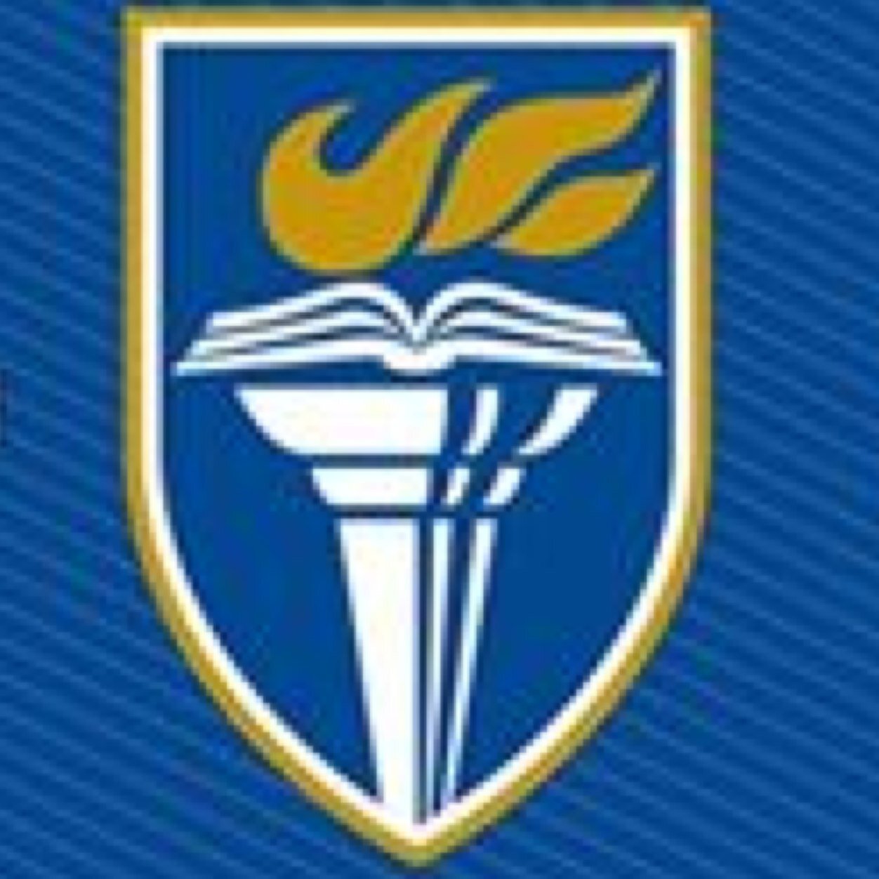 WelchFlames's profile picture. Tweeting you Flames sports news from the  @WelchCollege student section. #FlameNation