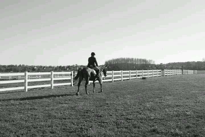 huntseat20's profile picture. 