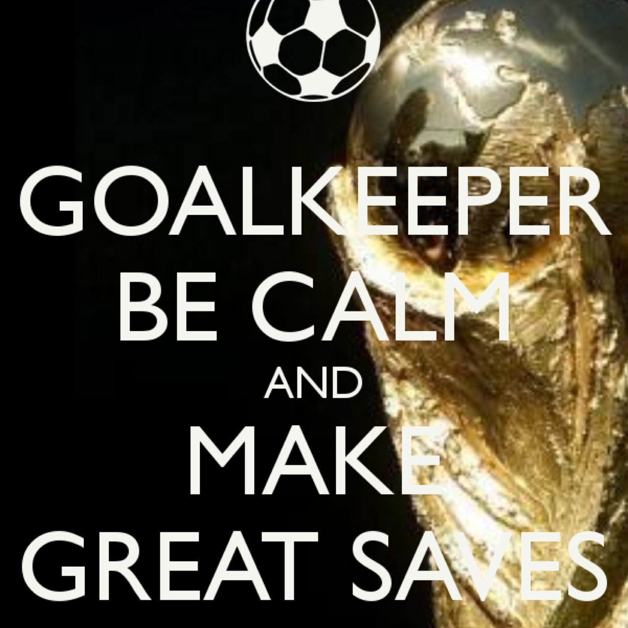This page is dedicated to the unique species that is the goalkeeper and their struggles
