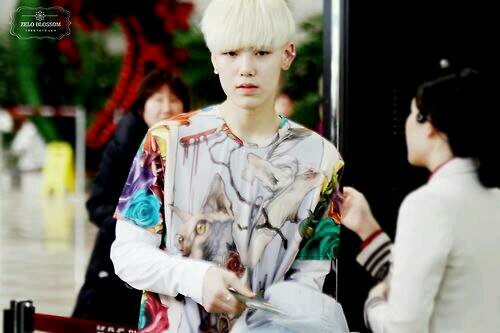 อันยองงง กระผมเซลโล่กระต่ายน้อยมุ้งมิ้ง?? ใสๆ คุยทุกคนไม่เลือกหน้าเมนชั่นมาก็ตอบไป~
 จบข่าว----