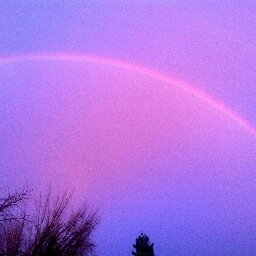 mmorse7577's profile picture. 