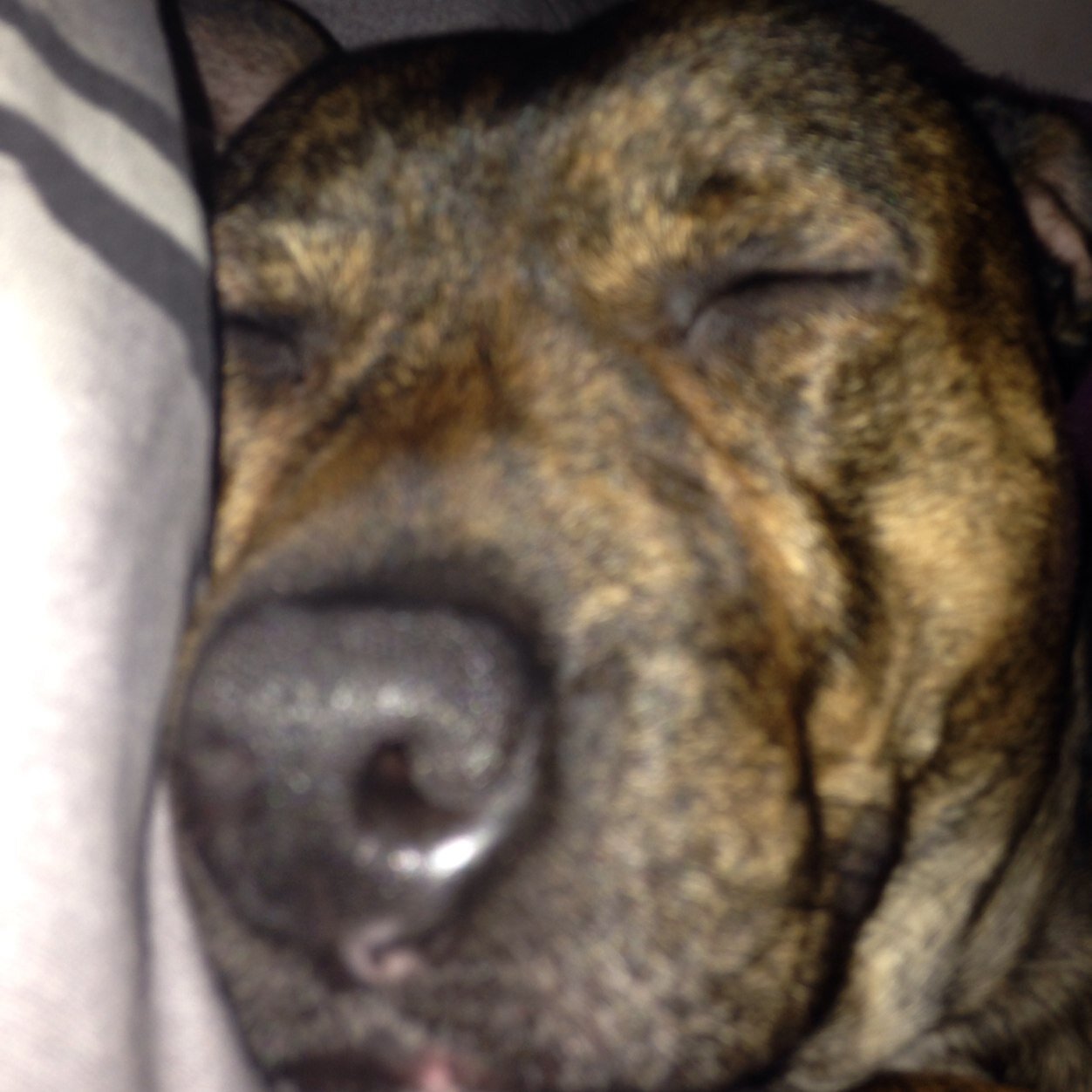 samphillips515's profile picture. 