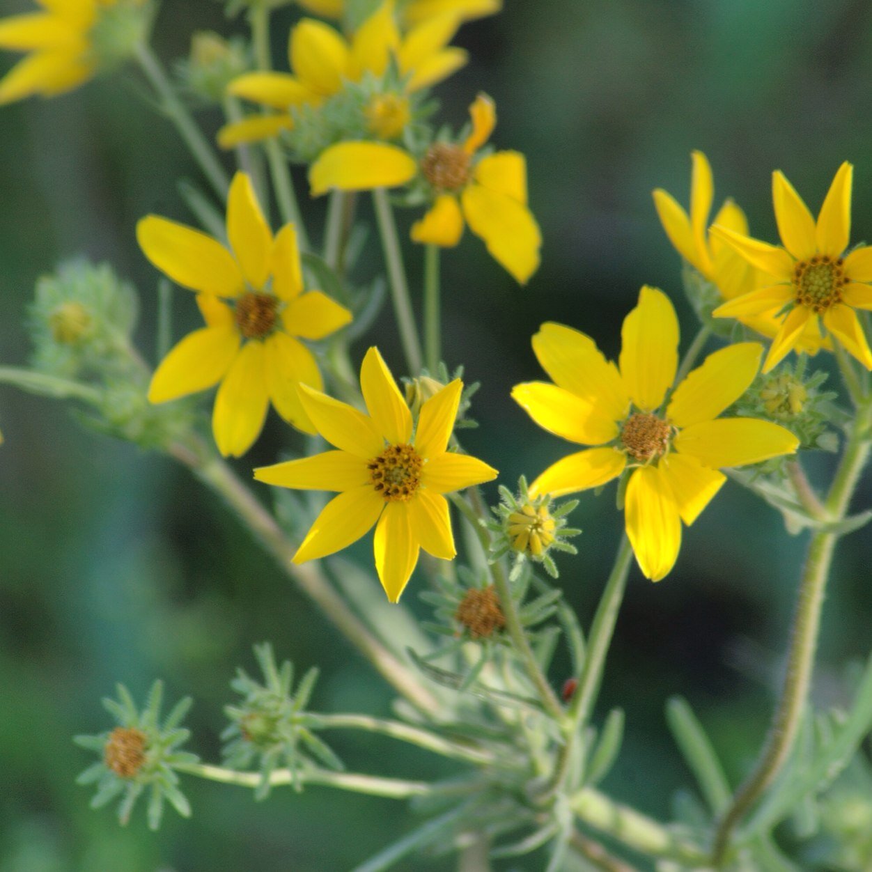 crmrdtr's profile picture. 