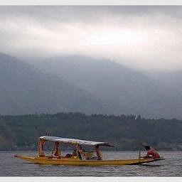 travelindia21's profile picture. 