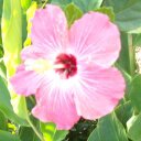 Kayla Knotts - @KaylaKnotts - Twitter