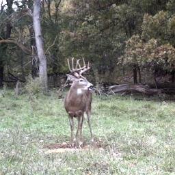 craiglyon6's profile picture. 