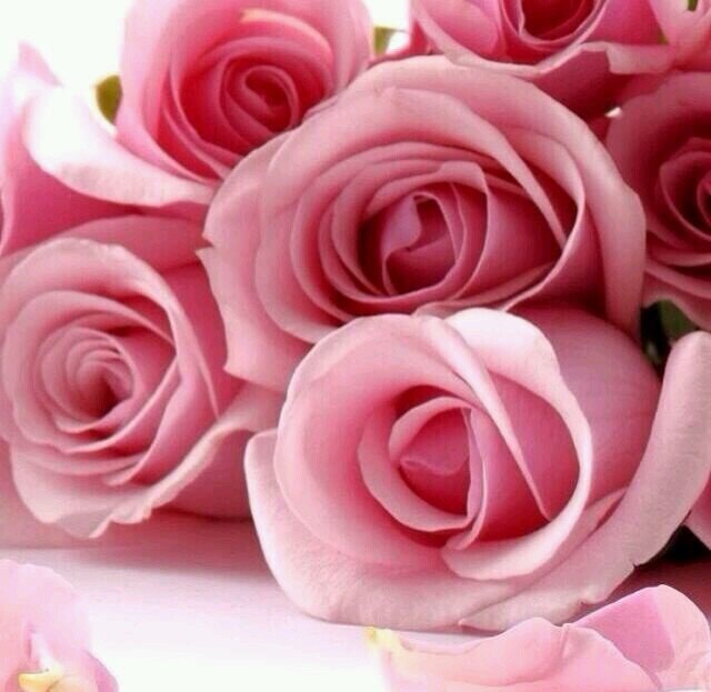 i_somh's profile picture. اللهم صل وسلم على نبيك محمد