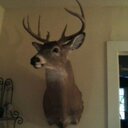 Danielle Hayden - @Danielleliza15 - Twitter