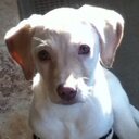 Andrea Doig - @angelicandie - Twitter