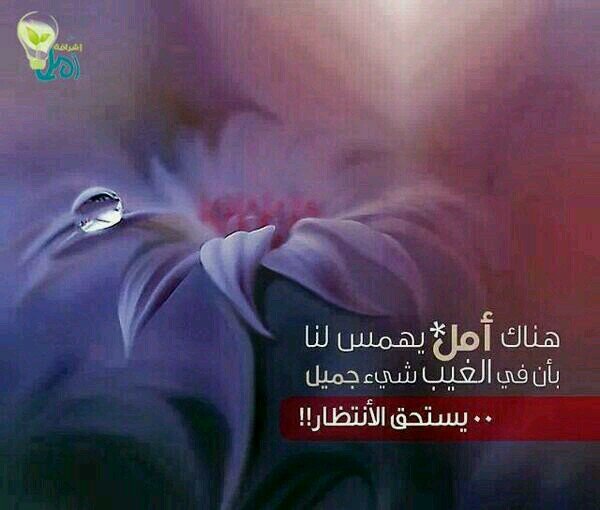 الحمدلله حمدا كثيرا