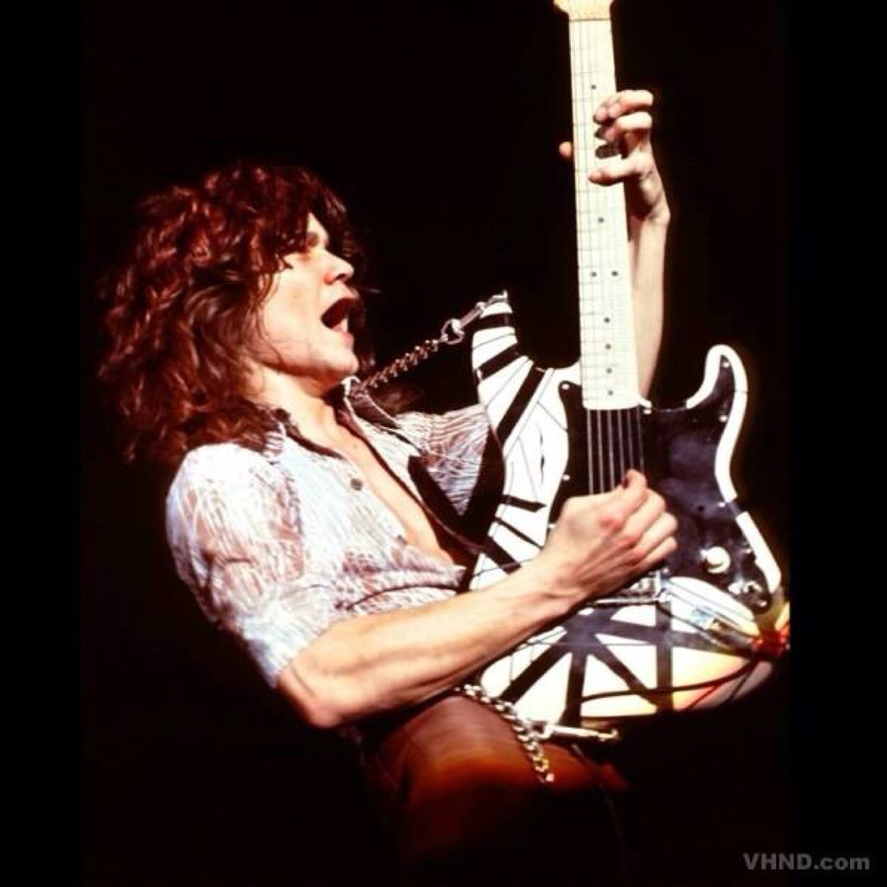 shokid95's profile picture. 