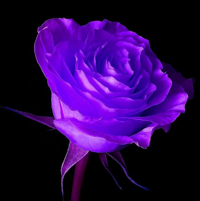 ذاك في كربلاء ليس بمرقد..بل عرش كبرياء تشيد..♥                           *انطق جميلاً ، أو تجمّل بالسكوت..{لا للطائفيه}