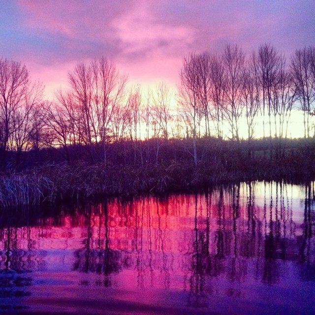 _suicidaire_'s profile picture. my intermost thoughts and feelings | 18 | F | hopeless | anon |  #TheFamily