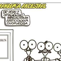 chusginezg's profile picture. indignadisima