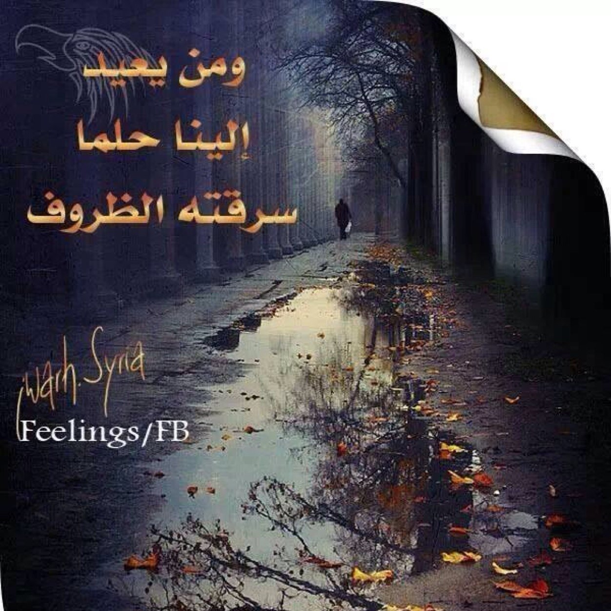انتة الحب مالي On Twitter الشخص اللي بيحبك بجد هواللي عارف انك شخص مزاجي وانك شخص عنيد وصعب التعامل معاه ومع ذلك هوبيحبك برضه وعايز زي ماانت Http T Co Gyyhrz6gye