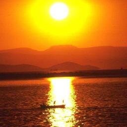 mesut_aydin72's profile picture. 