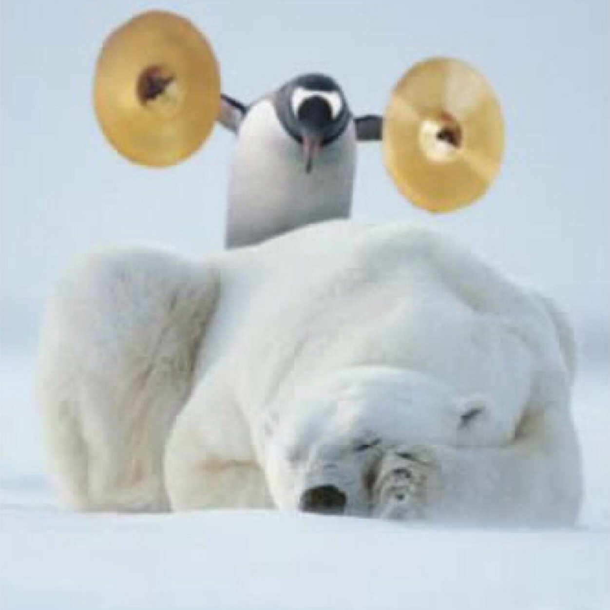 _JeffG_'s profile picture. 