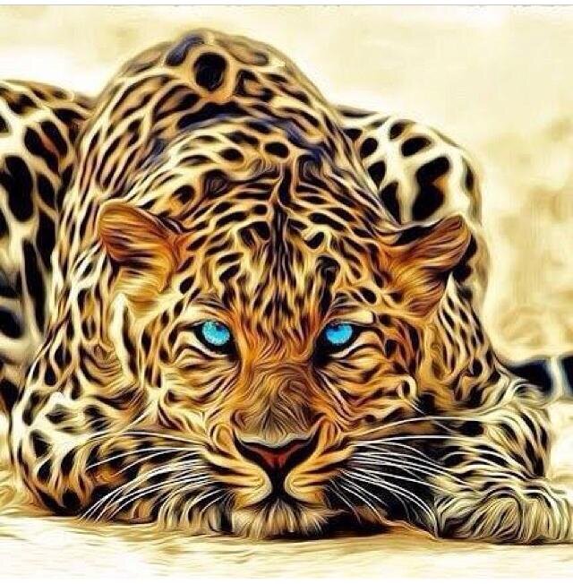 i am cool arrogant stuborn romantic good looking loves to mingle and make friends frequently and so onnnn just try to mingle ..baaaaki saabh u will....