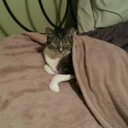 Lori Lassiter - @lreneel1220 - Twitter