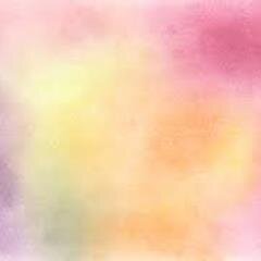詩集『水は器に合わせ形を変えるでしょう いつか思いもよらぬときに』/作詞作曲(トッチ)/作詩/詩誌「everclear」発行/『産経新聞』朝の詩月間賞/『詩人会議』投稿欄年間優秀作品賞/『詩と思想』現代詩の新鋭