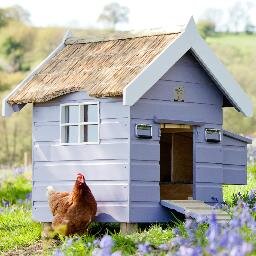 Luxury thatched chicken coops and hen houses hand made in Yorkshire by Henny Penny Hen Houses. Perfect palaces for re-homing ex-battery hens and other chickens.