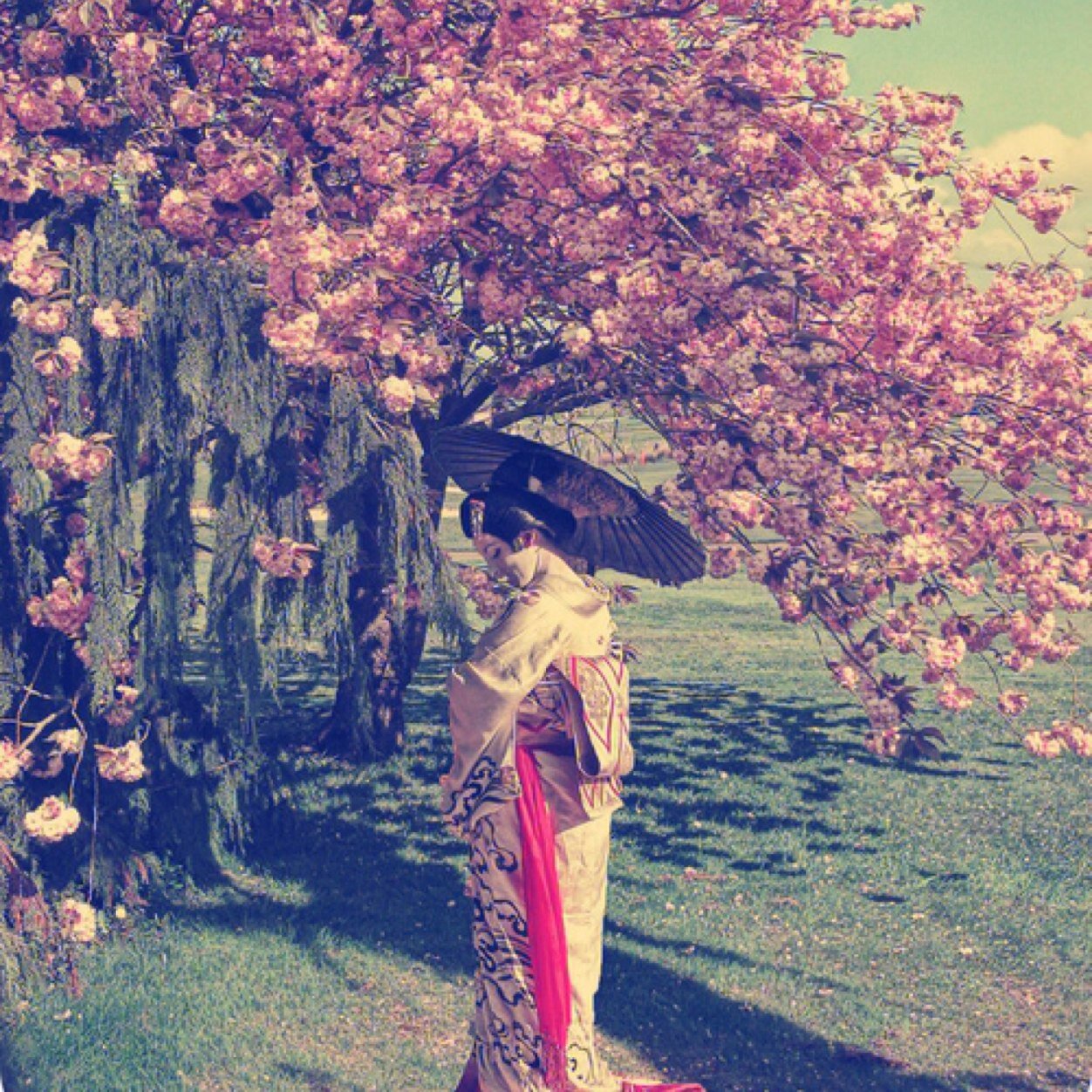 GaghySK's profile picture. 