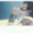 Fu_____m_____'s profile image