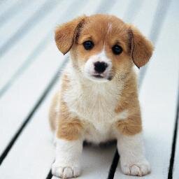 ItclassMarie's profile picture. 