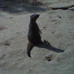 DesbFran's profile picture. 