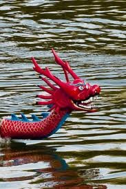 The Sue Ryder Dragon Boat Festival, bringing local charities together to raise funds, while enjoying a wonderful day out in Bristol! http://t.co/32hBm6vhVH