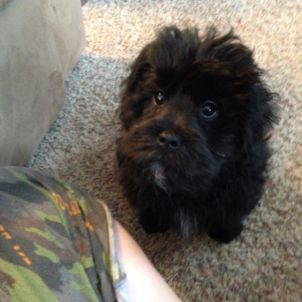 GayleneRubin's profile picture. Wife, mother, grandmother, Computer Science Teacher Stout Field Elementary