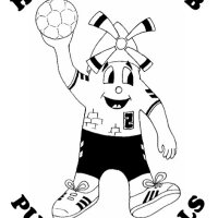 HC PUIG D'EN VALLS (@hcpuchi) 's Twitter Profile