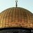 1989Hafsa's profile image