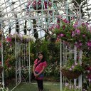 Josephine Teo - @Jojo_Dolphine - Twitter