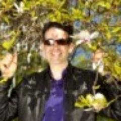 Writer on ethical issues regarding Psychotherapy,Transactional Analysis, general whistleblower at
Netherlands Tech Institute