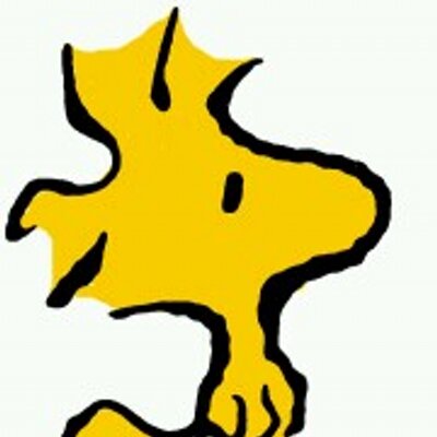 Source Logo