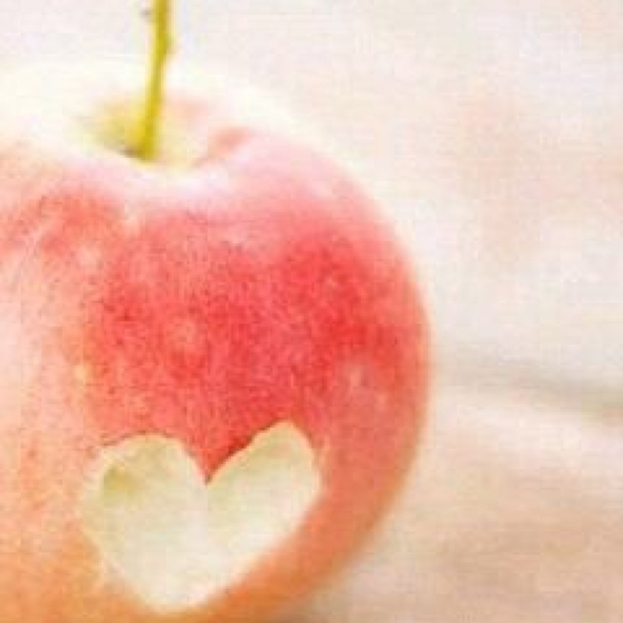 lavS0ng's profile picture. フォロバ100% ランダムにフォローしていく。 RT希望。