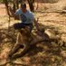 Dr Cliff Olsson (@cliff_olsson) Twitter profile photo