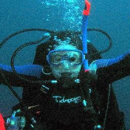 HidingPebble's profile picture. 