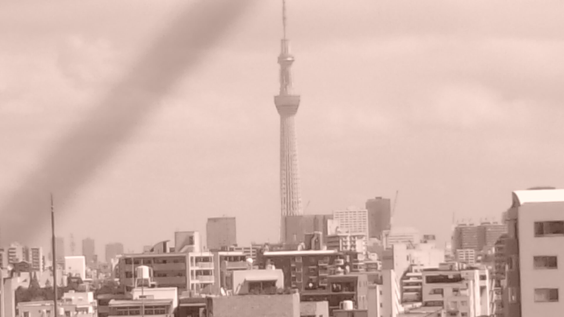 Jyukujo.suki。カミムラとか安住は嫌い。
京葉地域で小さく生きてます。
おかずは石井のハンバーグでいい。